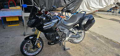 Triumph tiger 1050 full optional