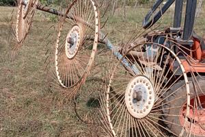 Ranghinatore stellare a 3 stelle