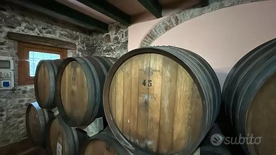botti per vino usate 500 lt