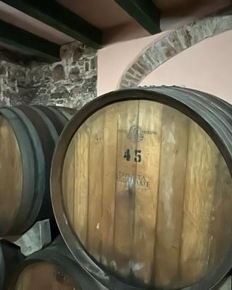 botti per vino usate 500 lt
