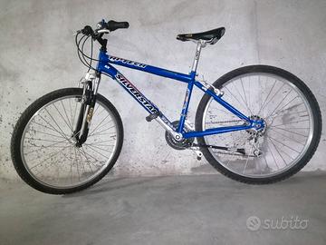 Bicicletta uomo