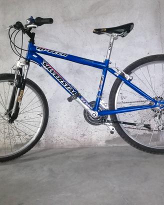 Bicicletta uomo