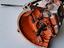 Immagine 4