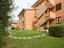 Immagine 6