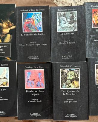 Opere di letteratura spagnola più i Sonetti di Sha
