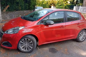 Automobile Pegeout 208