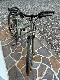 Bicicletta da cita - Stadtfahrad