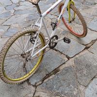 Bici single speed vintage 26” – Color my life