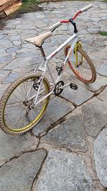 Bici single speed vintage 26” – Color my life