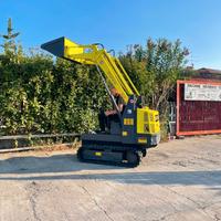 P35 Mini pala cingolata 13 q.li