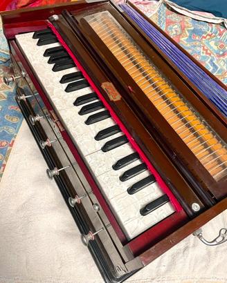 Harmonium indiano Bina