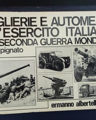 "Artiglierie e automezzi dell'Esercito Italiano