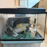 Acquario da 50 litri circa