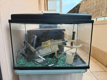 Acquario da 50 litri circa
