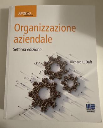 organizzazione aziendale, 7a edizione,