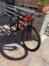 Mtb nemesi