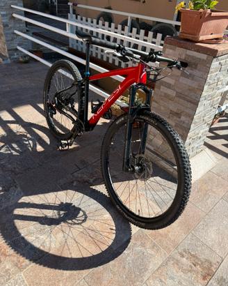 Mtb nemesi