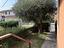 Immagine 7