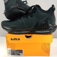 Nike Lebron Witness 7