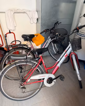 Coppia Biciclette Viareggio