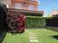 Immagine 6
