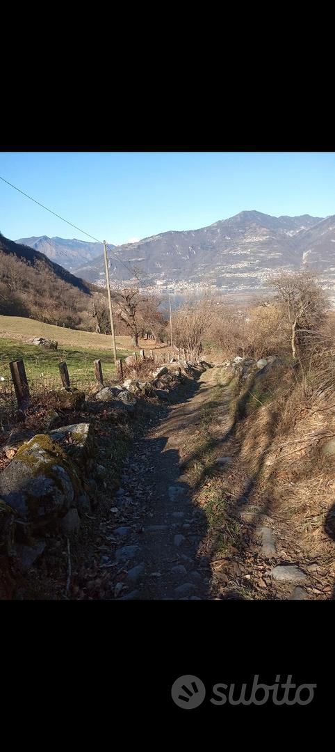 Porzione di rustico - Vista 4