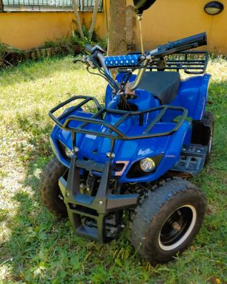 QUAD ELETTRICO