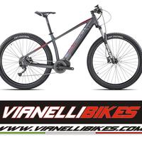 Olympia Master E-bike 29" 100Nm 630wh