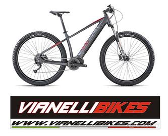 Olympia Master E-bike 29" 100Nm 630wh