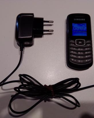 Cellulare samsung