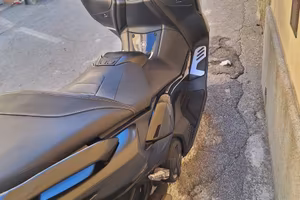 T Max 2020