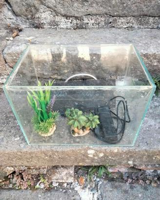 Acquario  35x25