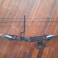 arco compound royal trattabili