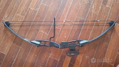 arco compound royal trattabili