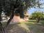 Immagine 7