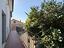 Immagine 16