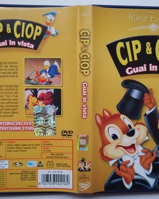 Cip & Ciop