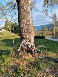 Scott Genius 720 2017 