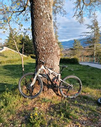 Scott Genius 720 2017 