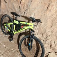 bici Rock rider 29 