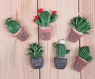 6 calamite cactus