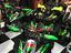 Immagine 15