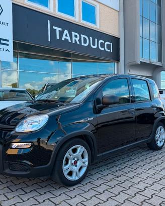 FIAT Panda 3ª serie Panda 1.0 FireFly S&S Hybrid