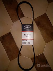 Cinghia servizi nuova