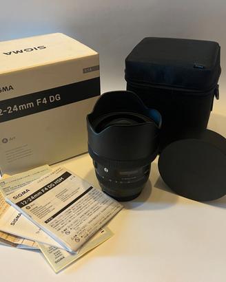 SIGMA 12-24 f/4 DG Art (canon)