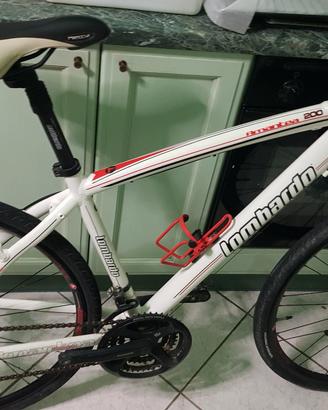 bici lombardo ruote fini 