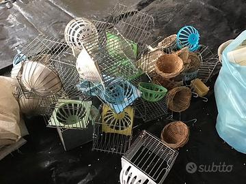 Accessori per ornitologia