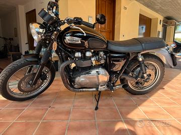 Triumph Bonnevile 865 SE - 2014