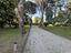 Immagine 25