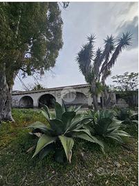Tenuta sant'isidoro (cagliari)